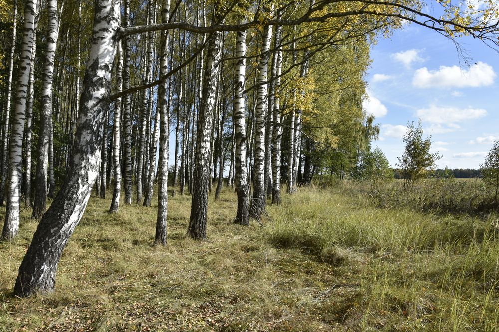 Фотография автора Юлия Ю.