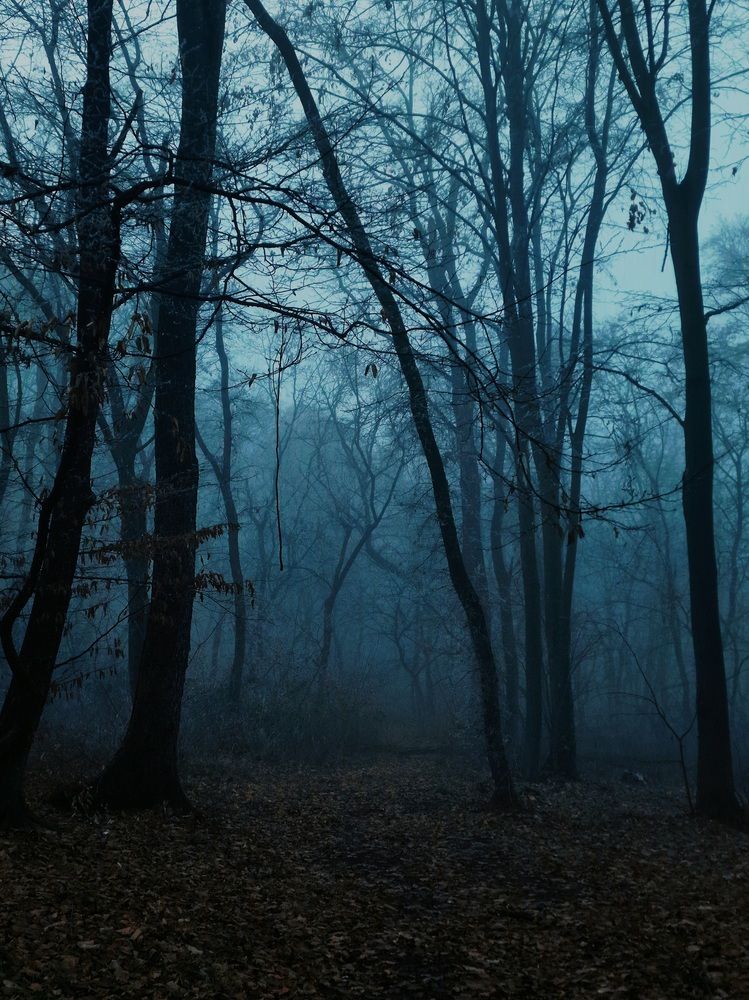 Photograph by Robert Suditu