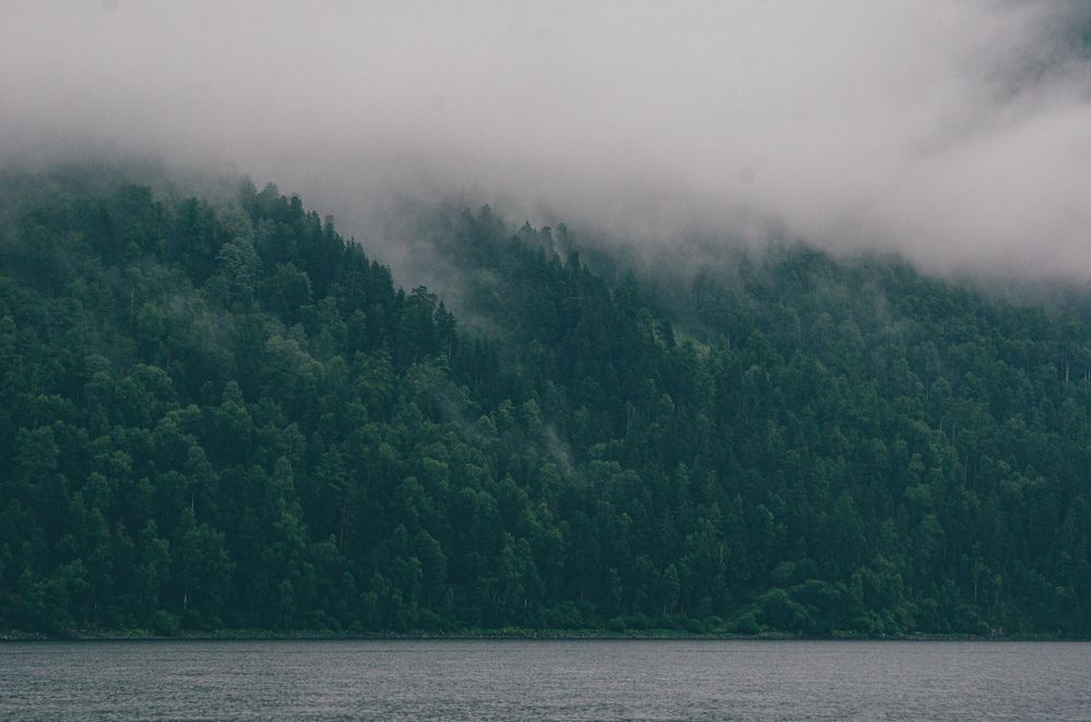 Photograph by Ольга Брусянина