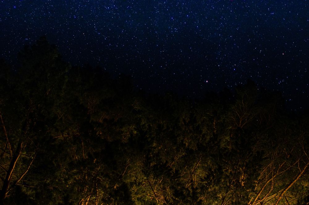 Photograph by Ольга Брусянина