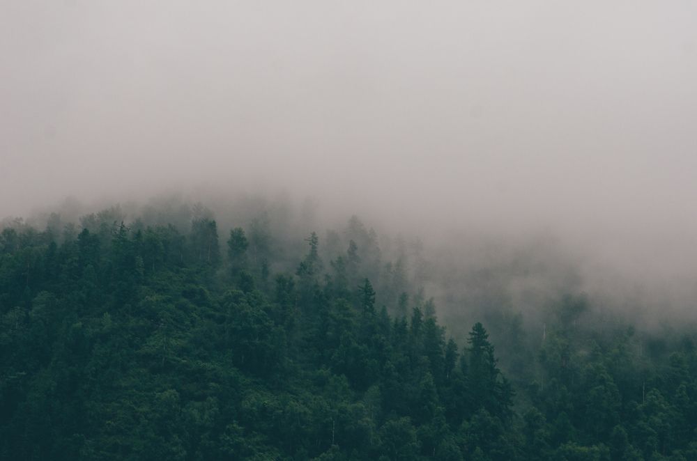 Photograph by Ольга Брусянина