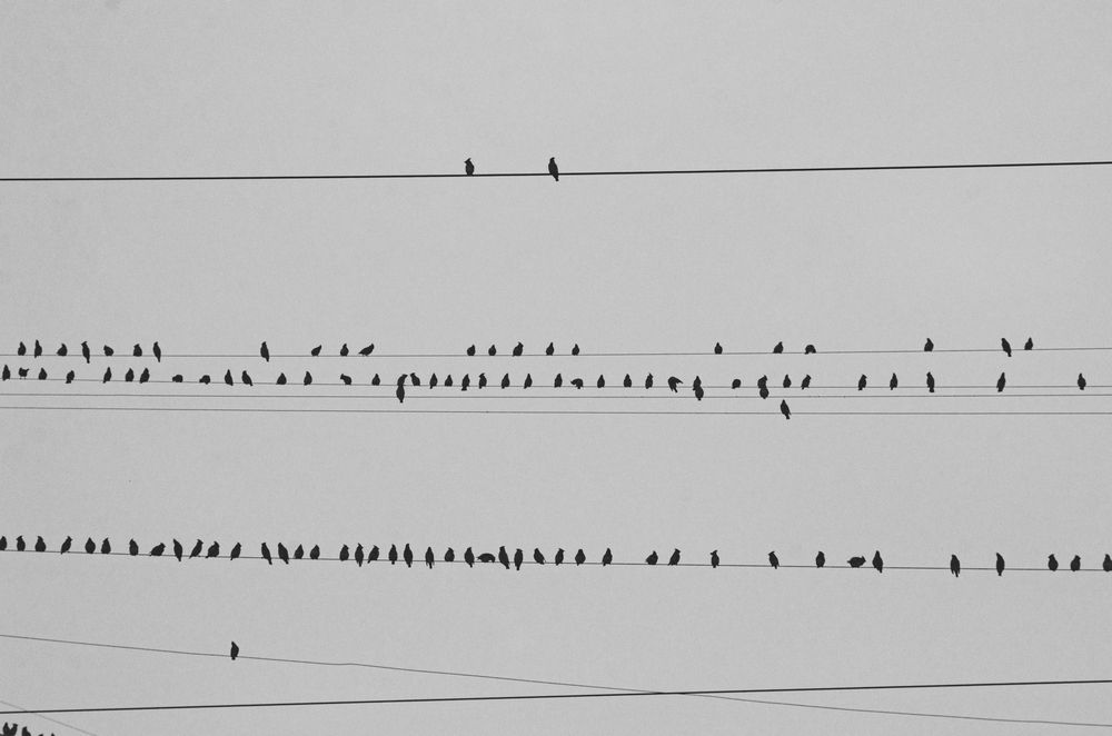 Photograph by Ольга Брусянина