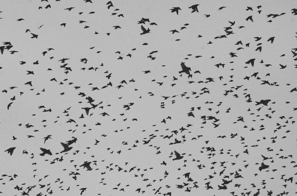 Photograph by Ольга Брусянина