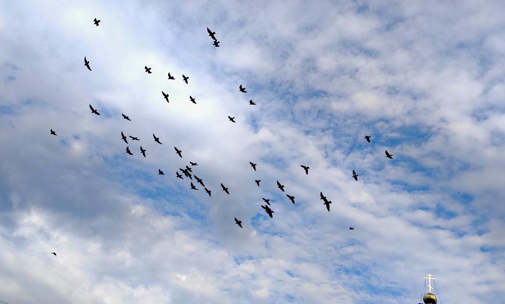 Фотография автора Марина Артемьева