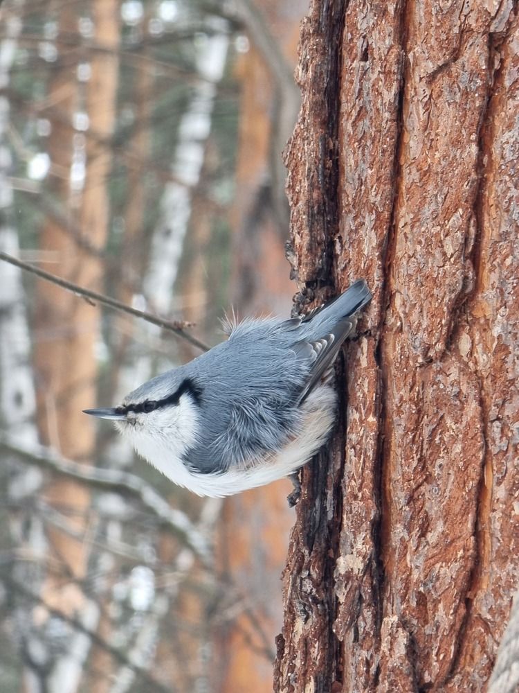 Фотография автора Лилия Шарифуллина