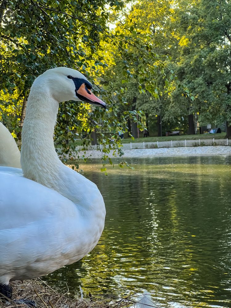 Photograph by Михаил Сорокин