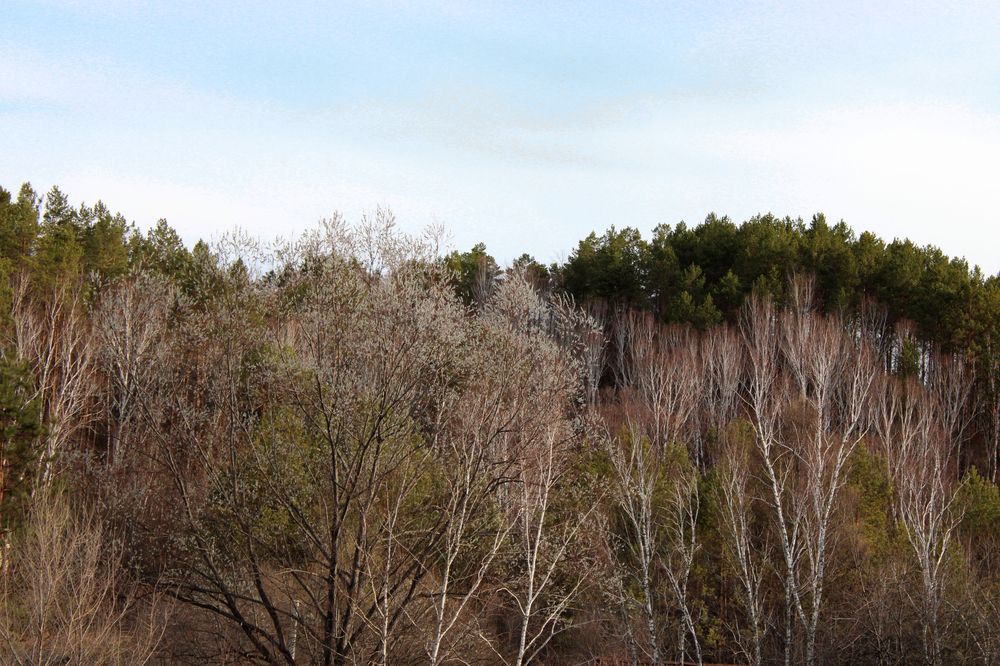 Photograph by Екатерина Пачина