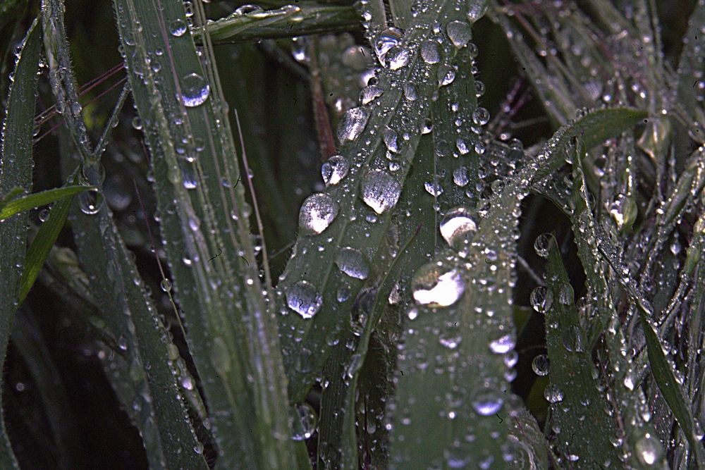 Фотография автора Сергей Рапопорт