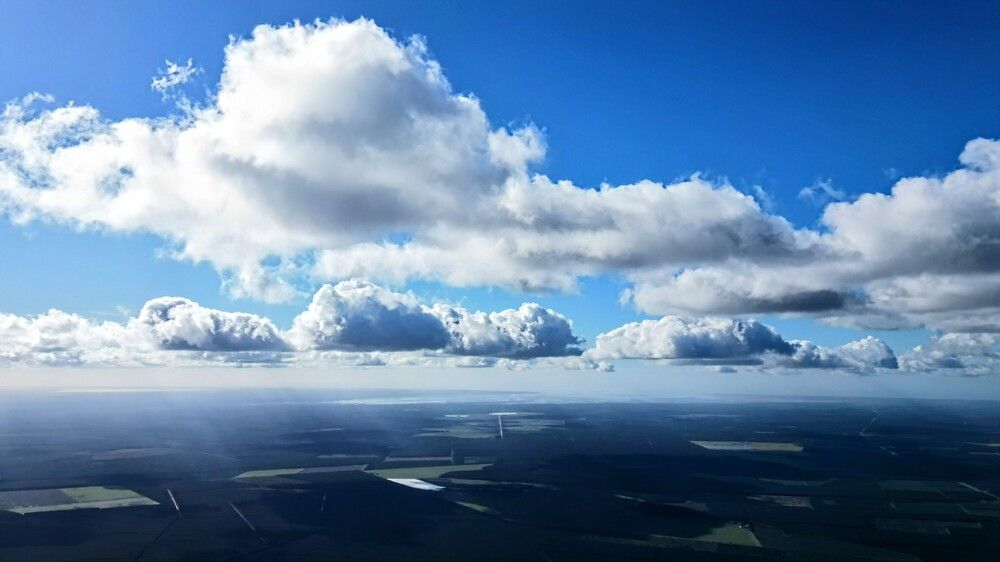 Фотография автора COURTIAL Greg