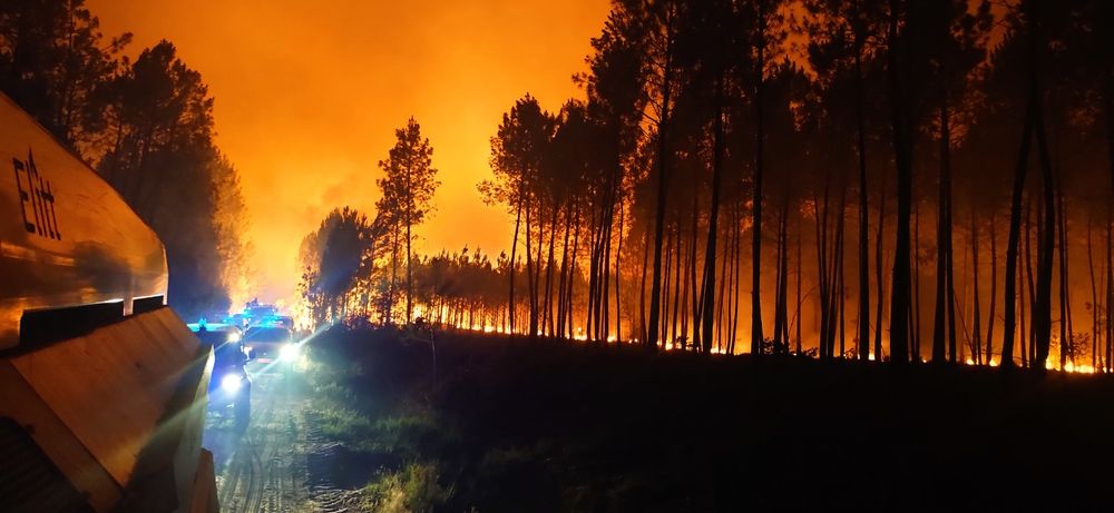 Фотография автора COURTIAL Greg