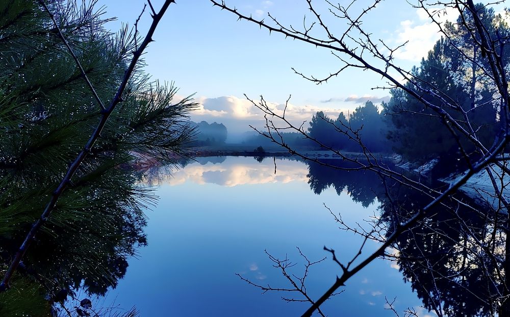 Фотография автора COURTIAL Greg