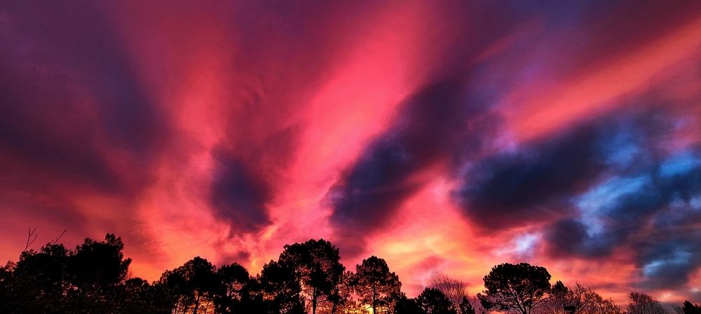 Фотография автора COURTIAL Greg