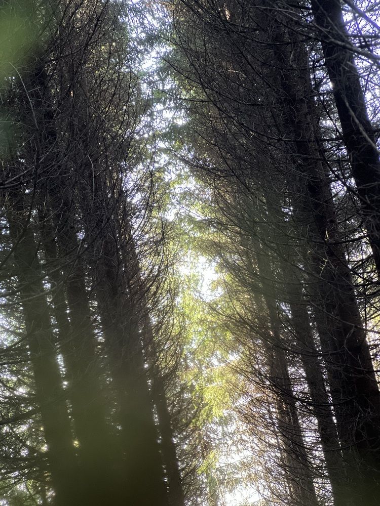 Photograph by Аделия