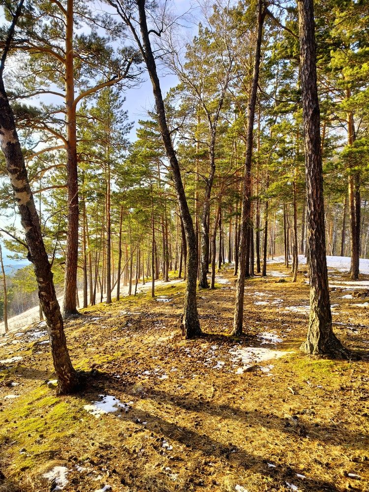 Фотография автора Анастасия Горбачева