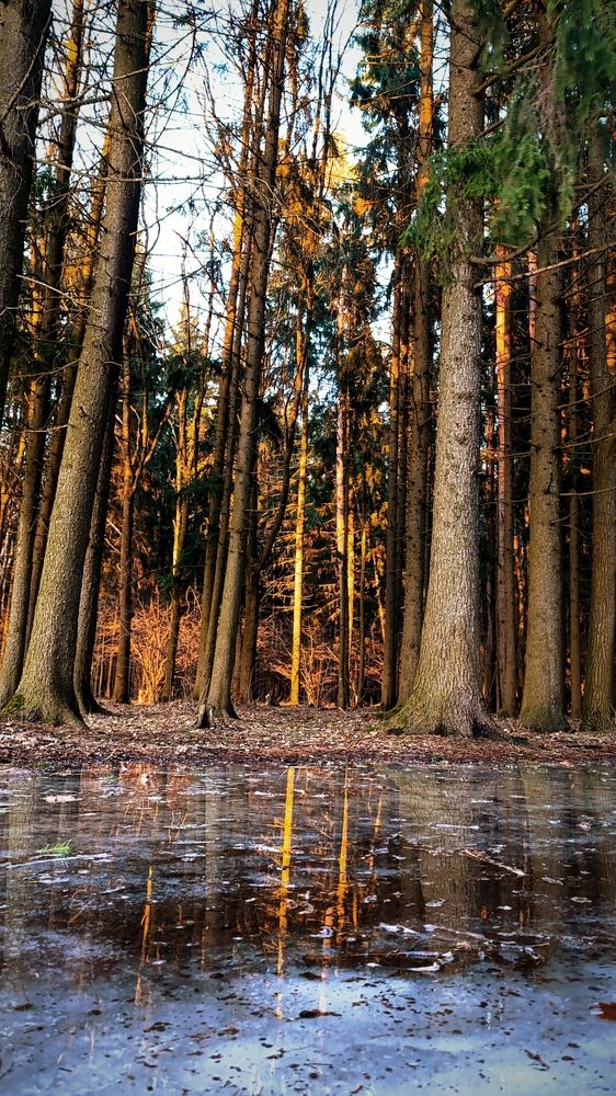 Фотография автора Светлана Таркан