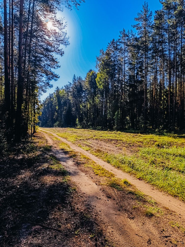Фотография автора Светлана Таркан