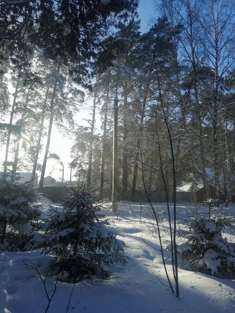 Фотография автора Серафима Футлярова