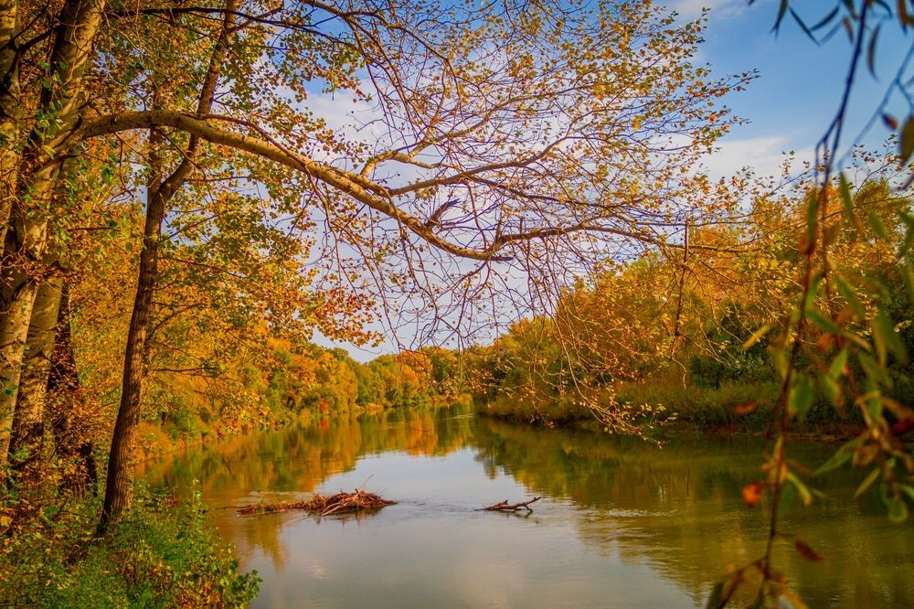 Фотография автора Иван Карпов