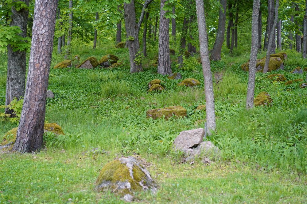 Photograph by Ирина Кокшарова