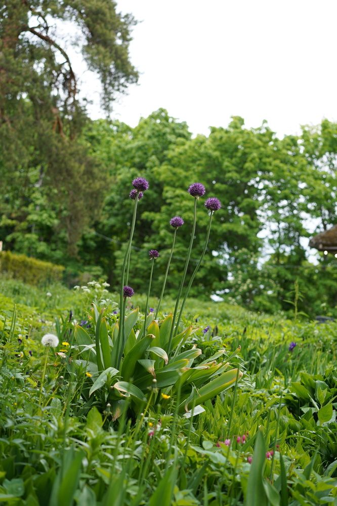 Photograph by Ирина Кокшарова