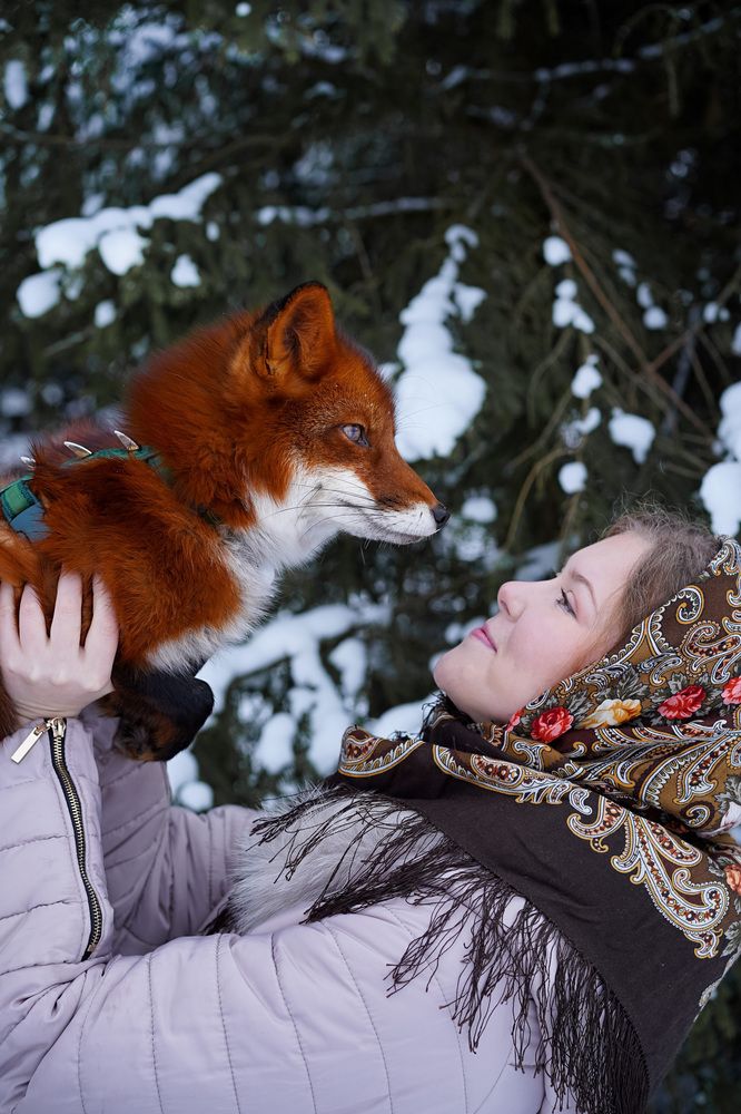 Photograph by Ирина Кокшарова