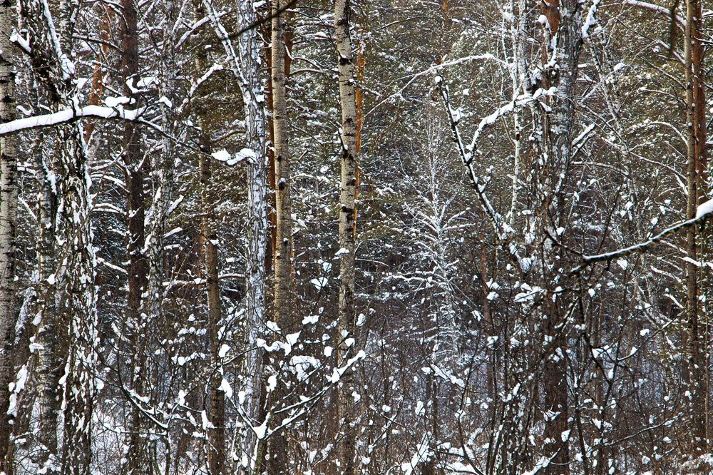 Фотография автора Екатерина Першина