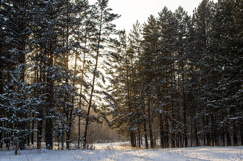 Фотография автора Екатерина Першина