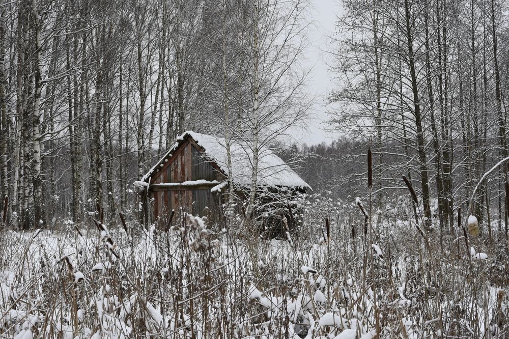 Фотография автора Юлия Ю.