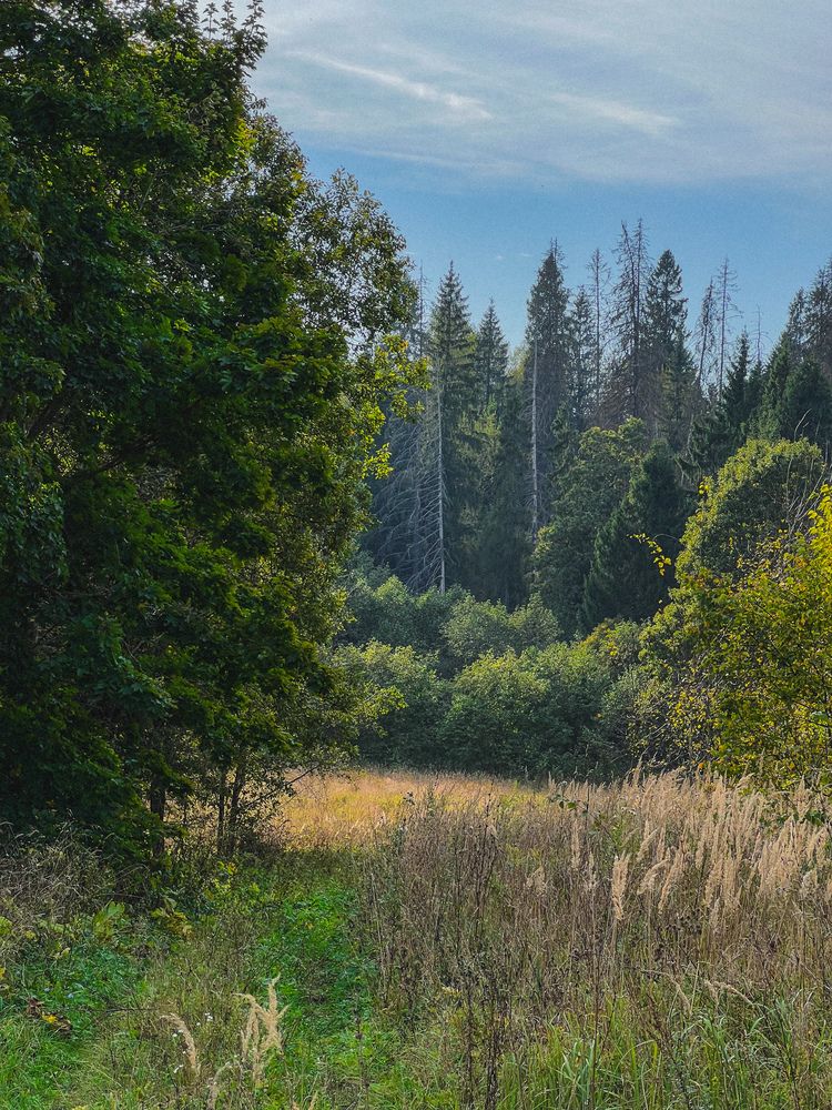 Photograph by Михаил Сорокин