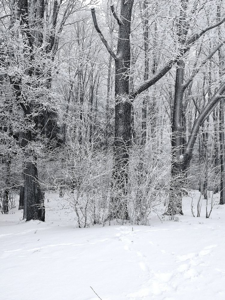 Фотография автора Светлана Таркан