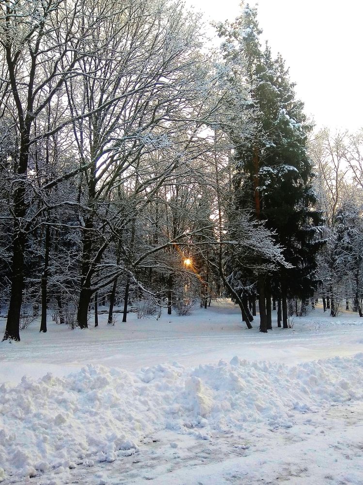 Фотография автора Светлана Таркан