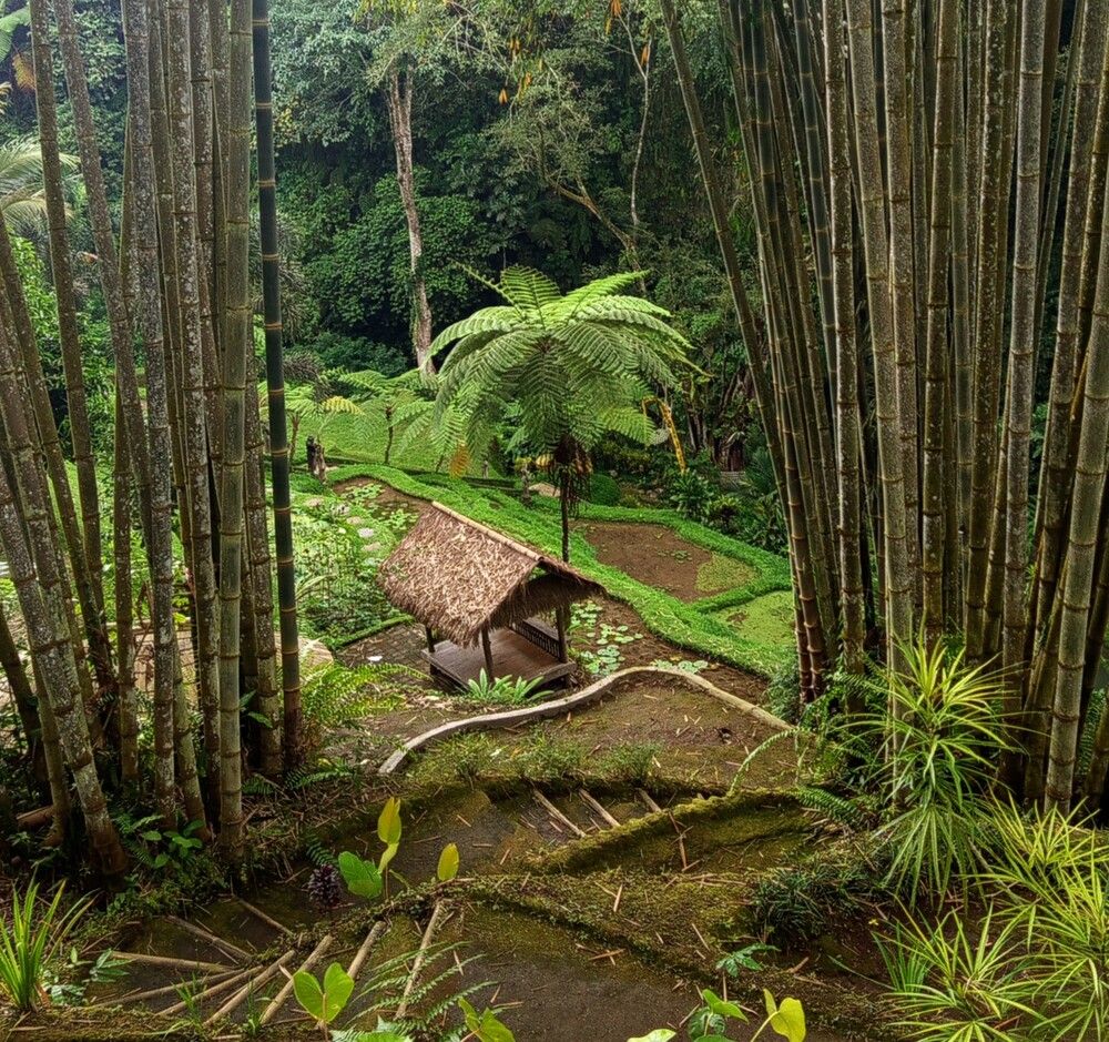 Photograph by Trianto Sutopo