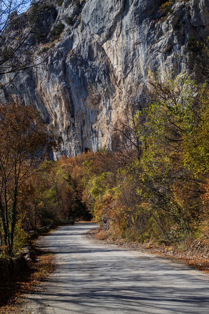 Фотография автора Ксения Золотарь