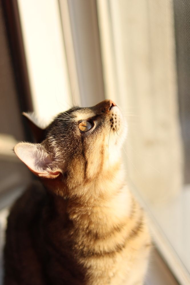 Фотография автора Ксения Золотарь