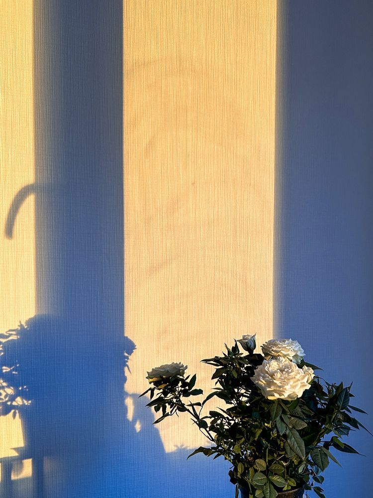 Photograph by Анна Ким