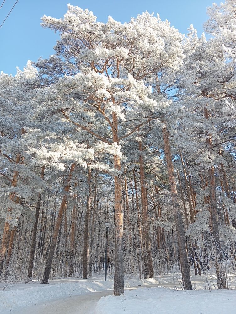 Photograph by Оксана