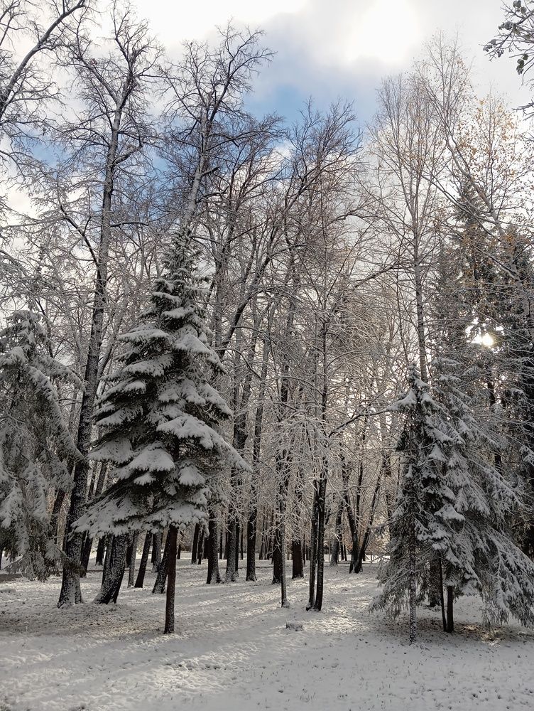 Photograph by Оксана