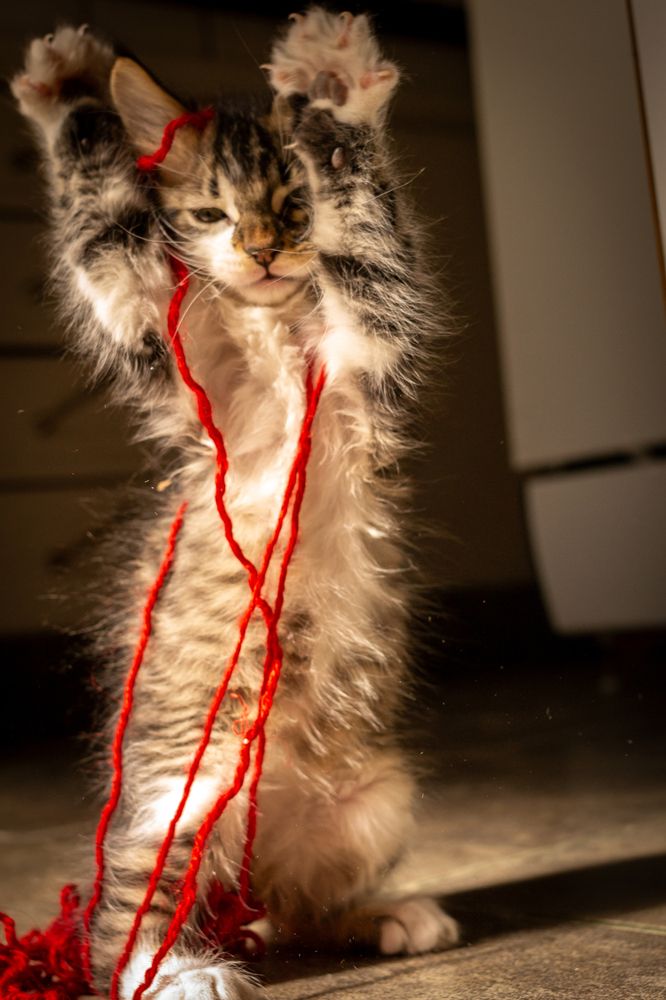 Photograph by Mariel