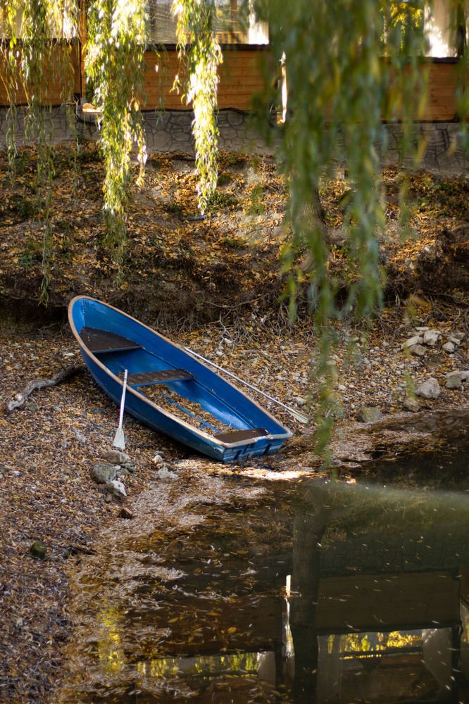 Фотография автора Ксения Золотарь