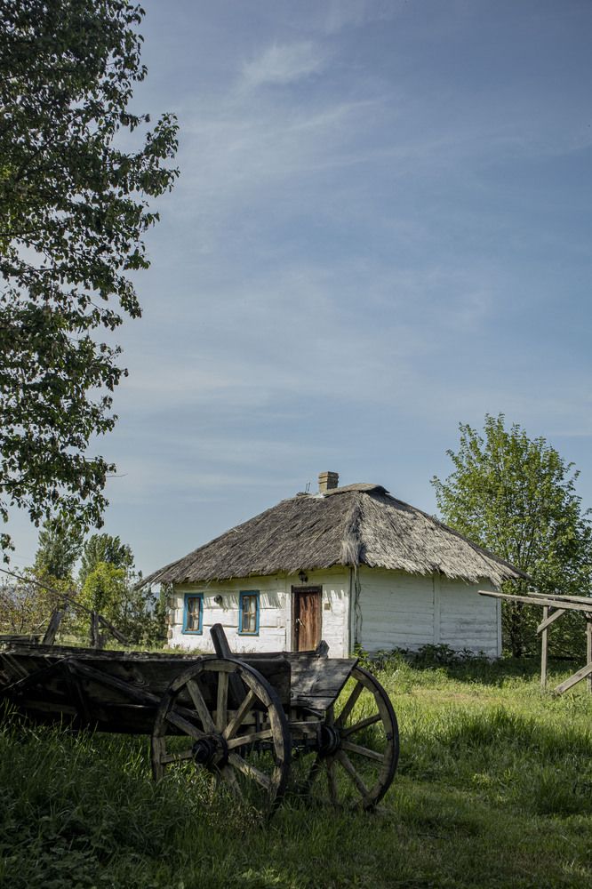 Фотография автора Ксения Золотарь