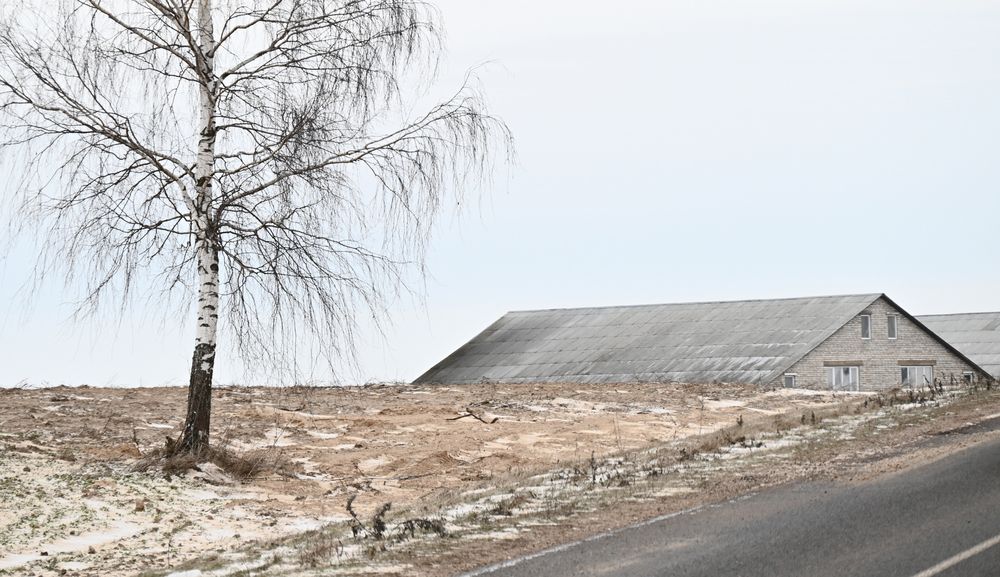 Photograph by Ирина Сергиевская