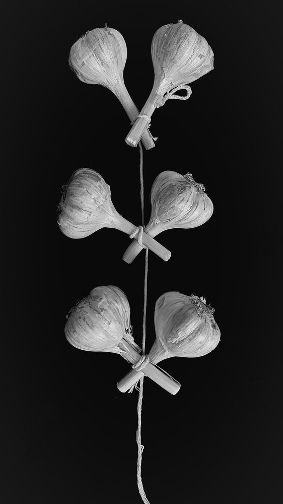 Фотография автора Светлана Таркан