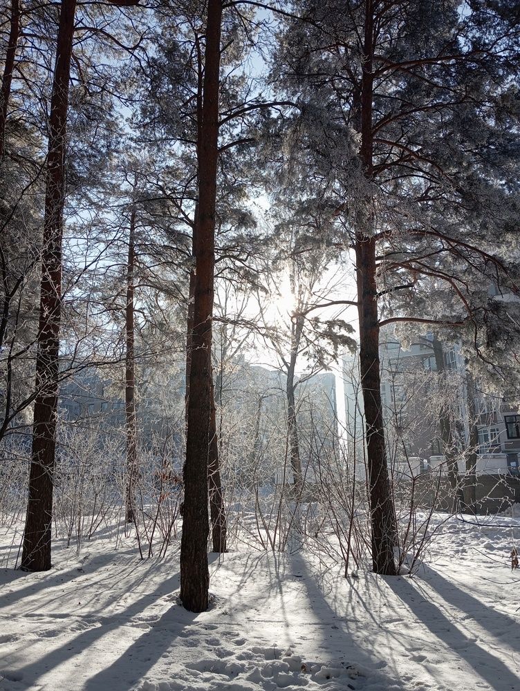 Photograph by Оксана