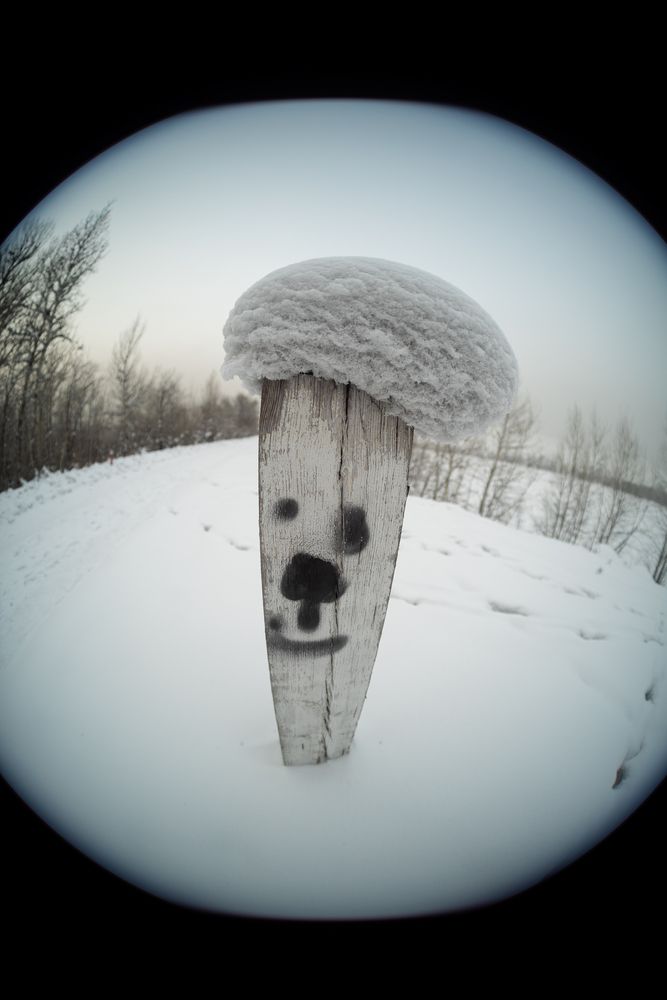 Фотосессия весёлого столбика