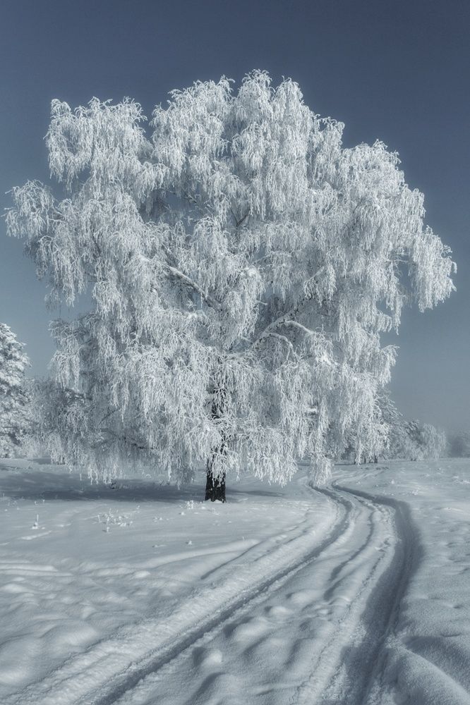 Photograph by Максим Агафонов