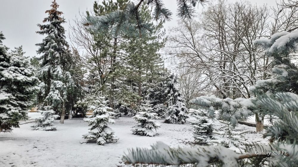 Фотография автора Метушова Анна