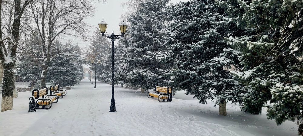 Фотография автора Метушова Анна