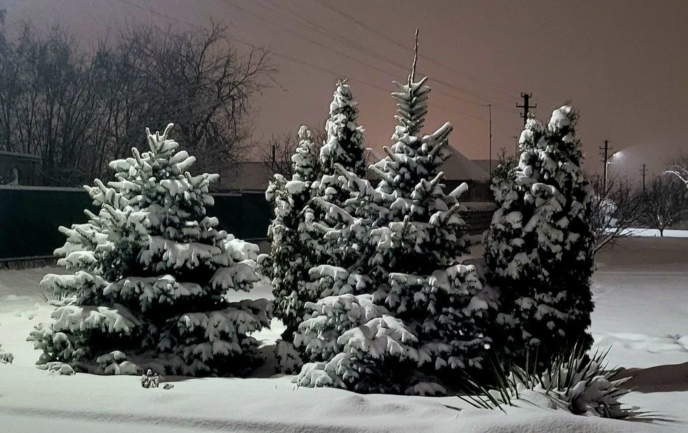 Фотография автора Метушова Анна