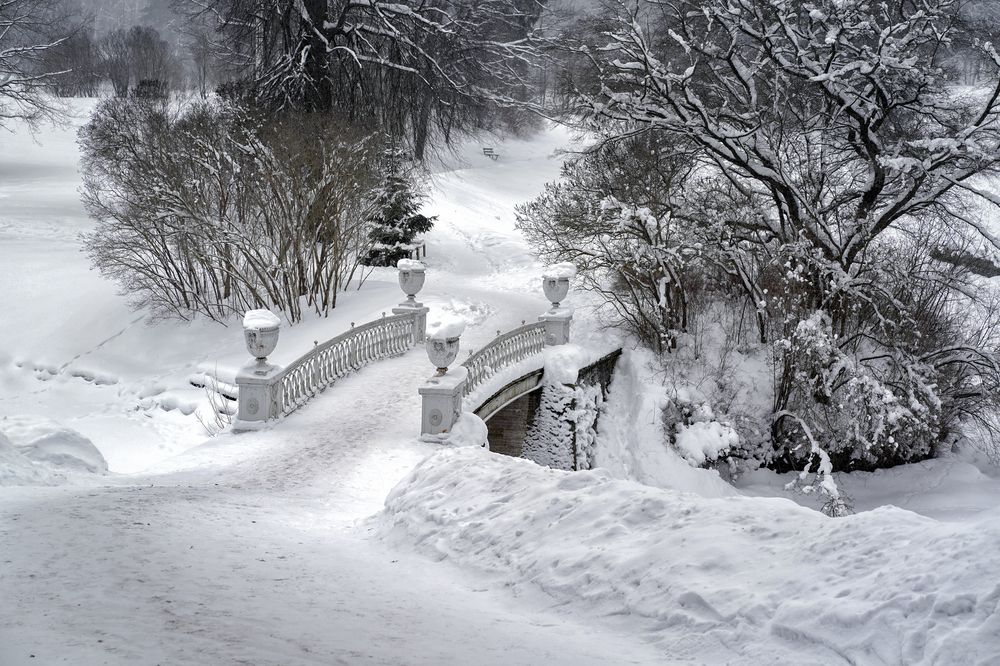 Фотография автора Елена