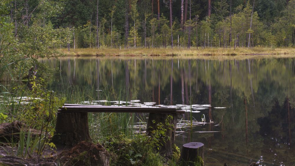 Фотография автора Дмитрий